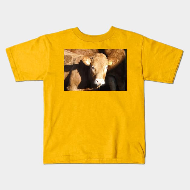 Anyone Have A Tissue Please? Kids T-Shirt by AH64D